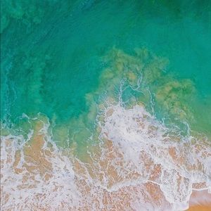 Meet your Posher, Carolina